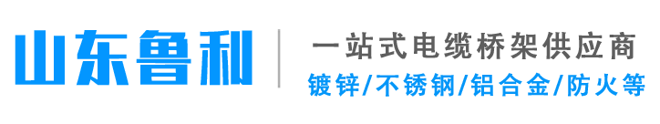 山東魯利金屬制品有限公司